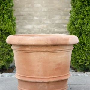 Kruka Lucca, Bergs Potter