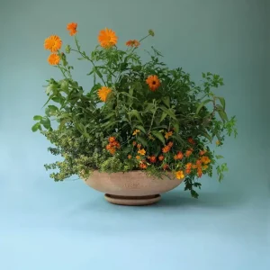 Kruka Ada Raw Rosa ø 30 cm, Bergs Potter